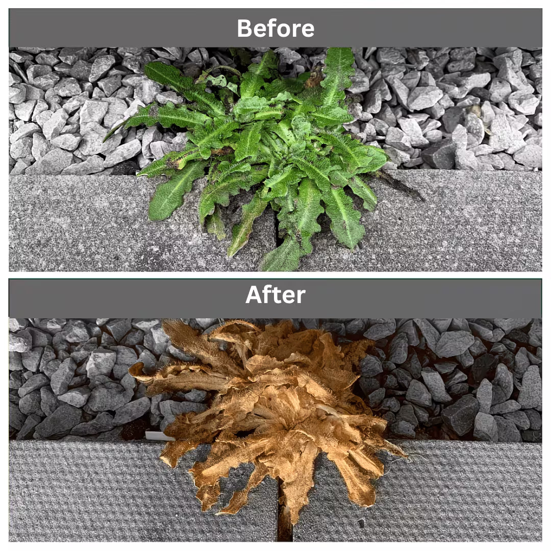 Rootblast Total Weedkiller 2.5L